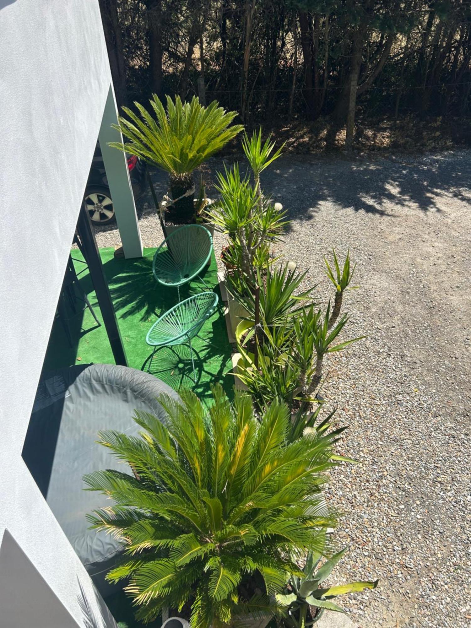 Appart-one Terrasse Jacuzzi Parking Apartment *